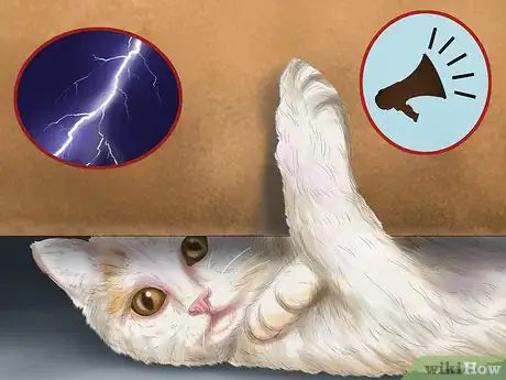 Image titled Make Your House a Better Place for Animals Step 8