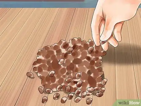 Image titled Can Beans Step 1