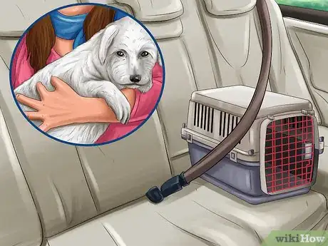 Image titled Rehome a Rescue Dog Step 9