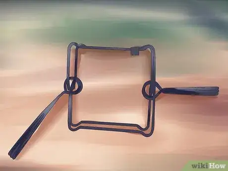 Image titled Catch Beavers Step 6