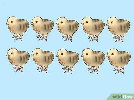 Image titled Buy Quail Chicks Step 4