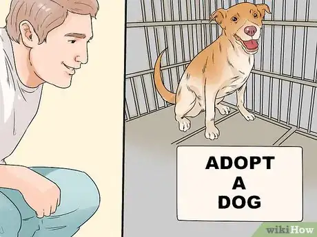 Image titled Adopt a Dog As an Unmarried Couple Step 8