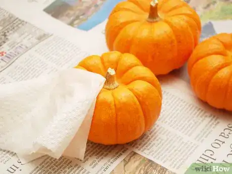 Image titled Paint a Pumpkin Step 2