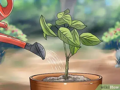 Image titled Plant Step 17