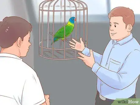 Image titled Treat Chlamydiosis in Lories and Lorikeets Step 18