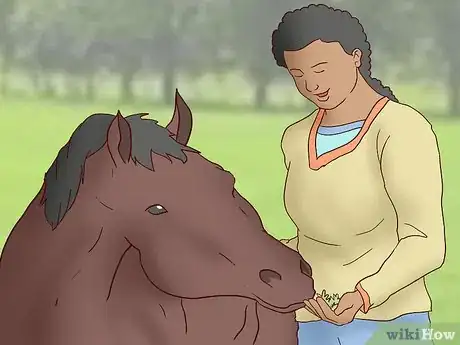 Image titled Feed a Horse a Mint Step 5