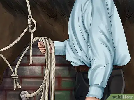 Image titled Teach Your Horse to Piaffe Step 4