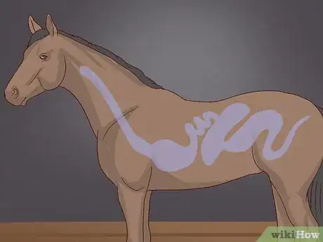 Image titled Walk a Colicking Horse Step 8