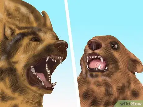 Image titled Keep Your Senior Dog Safe Around Young Kids Step 4