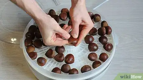 Image titled Dry Chestnuts Step 8