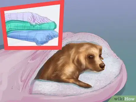 Image titled Help a Dog with Sleep Incontinence Step 6