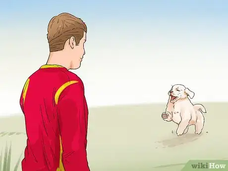 Image titled Exercise Your Puppy Step 1