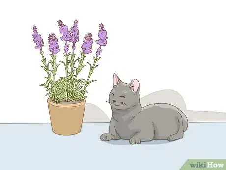 Image titled Look After Pets During Fireworks Step 11