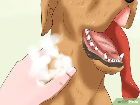 Image titled Bathe a Great Dane Step 10