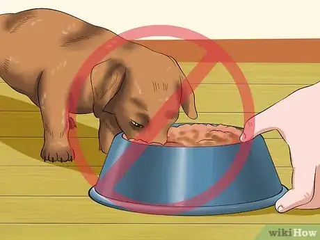 Image titled Love Your Puppy Step 22