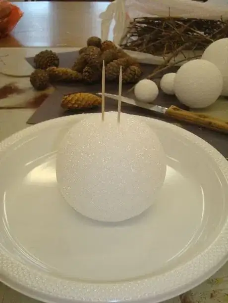 Image titled 728px toothpicks.jpeg