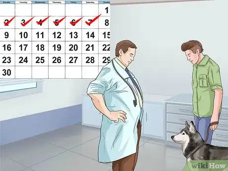 Image titled Treat Autoimmune Disorders in Siberian Huskies Step 7