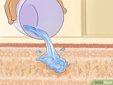Image titled Clean a Valuable Oriental Rug and Remove Stains Step 4