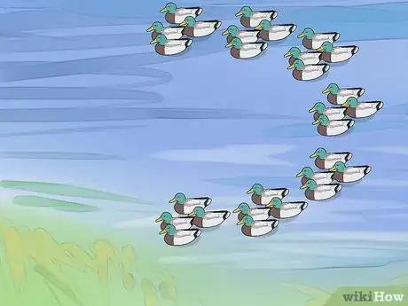 Image titled Set Duck Decoys Step 10