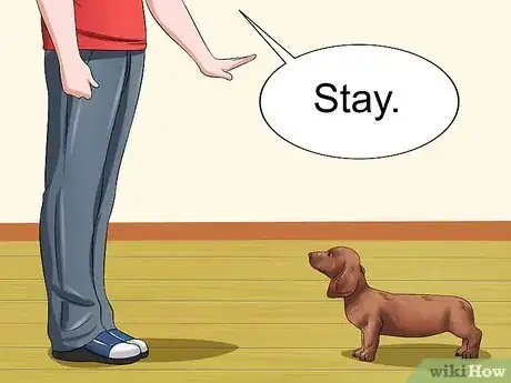 Image titled Love Your Puppy Step 10