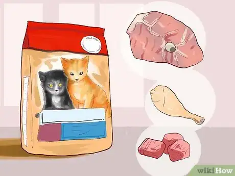 Image titled Care for American Longhair Cats Step 4