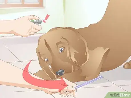 Image titled Clicker Train a Dog to Bow Step 6