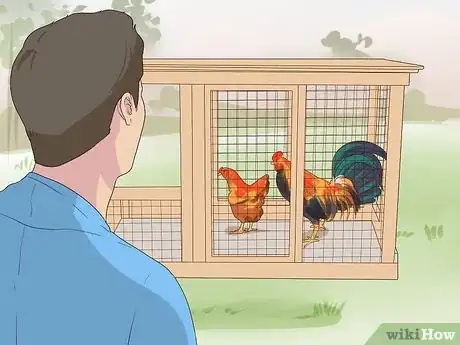 Image titled Introduce a Dog to Pet Chickens Step 3
