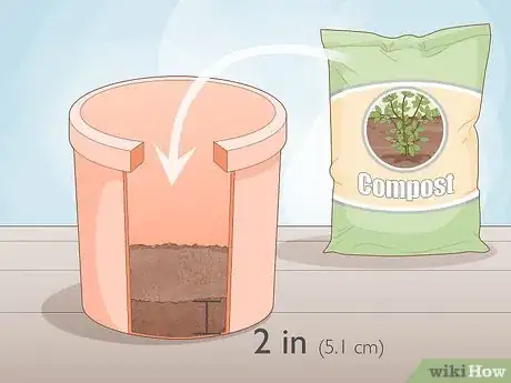 Image titled Grow Chives Indoors Step 9