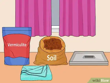 Image titled Grow Popcorn Shoots Step 7