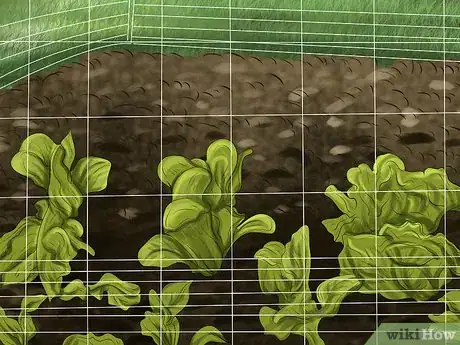 Image titled Build a Chicken Friendly Garden Step 7