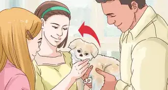 Survive the Holidays with Your Dog