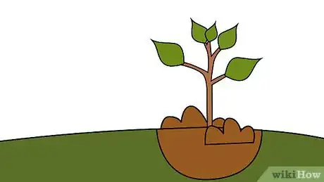 Image titled Plant a Tree Step 16