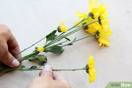 Image titled Care for Flowers Step 6