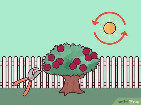 Image titled Save a Dying Rose Bush Step 9