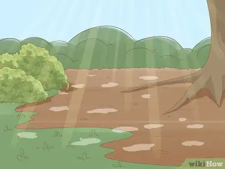 Image titled Plant English Bluebell Bulbs Step 8