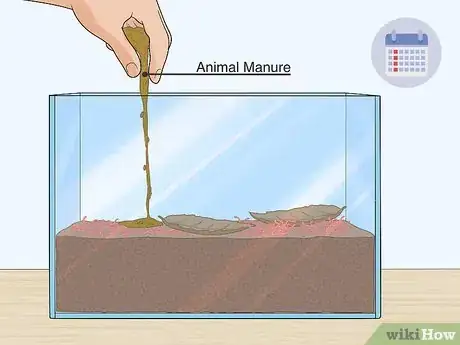 Image titled Grow Blood Worms Step 9