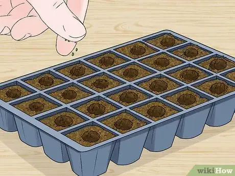 Image titled Plant a Christmas Cactus Step 12