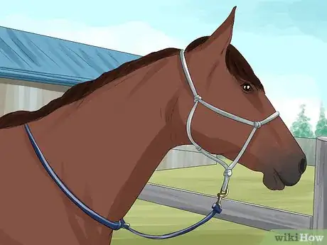 Image titled Put a Lead Rope on a Horse Step 7