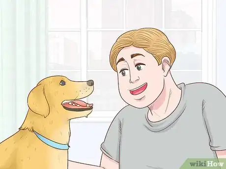 Image titled Become a Dog Walker Step 4