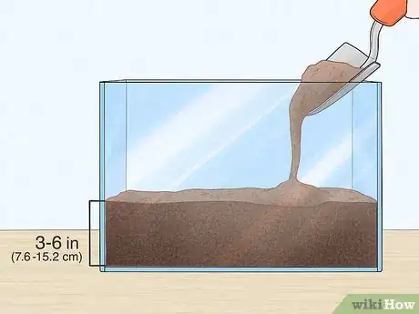 Image titled Grow Blood Worms Step 2