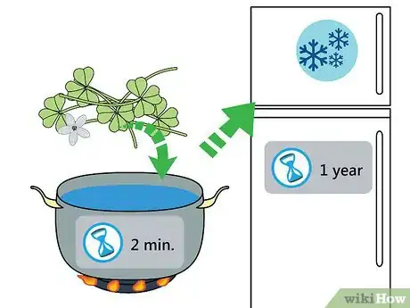 Image titled Harvest Wood Sorrel Step 9