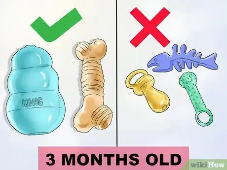 Image titled Exercise Your Puppy Step 4