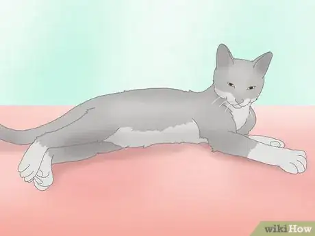 Image titled Get a Cat to Roll Over Step 10