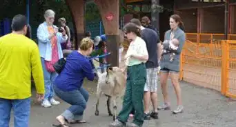 Visit Disney's Animal Kingdom