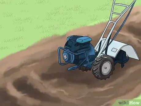 Image titled Grow a Bed Head Garden Step 10