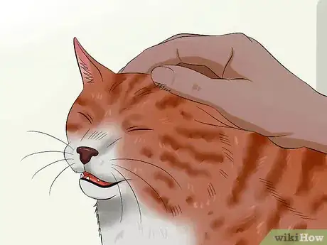 Image titled Choose Cat Treats Step 13