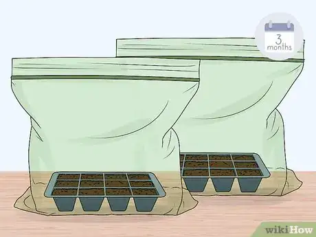 Image titled Plant a Christmas Cactus Step 14