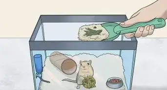 Make a Comfortable Gerbil Home