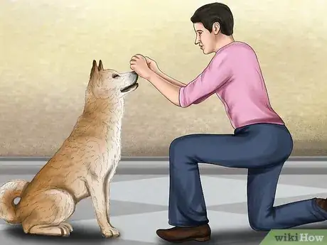Image titled Approach an Unfamiliar Dog Step 4
