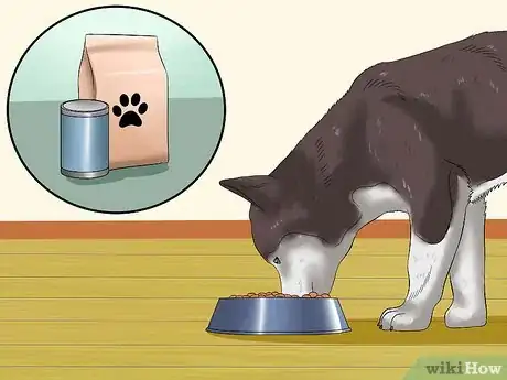 Image titled Love Your Puppy Step 18